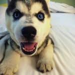 ✩♡ Princesinha ♡✩ - @_luna_rocha_ - Instagram