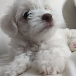 Luna Passos Rocha - @luna_rocha_ofc - Instagram