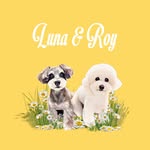 Luna & Roy - @y.punyo1 - Instagram