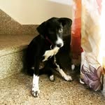 Luna - @luna_roy_burman - Instagram