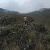 luna roy - @luna.roy3 - TikTok