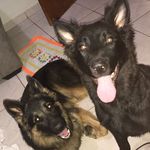 Luna e Scott - @luna__scott - Instagram