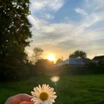 Luna Scott - Facebook