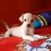 luna_scott_ - @luna_scott_ - TikTok