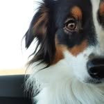 Luna Sharp - @lil.luna.sharp - Instagram