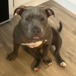 Luna sharp - @lunasharp46 - Instagram