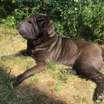 @luna_sharpetteideale - Instagram