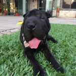 @lunasharp_ - Instagram