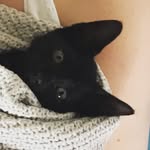 Luna Shaw - @lunashaw2021 - Instagram