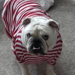 Luna Shaw - @loving_luna_shaw - Instagram