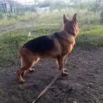 @_luna.shepherd - Instagram