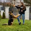 Luna_shepherd - @wy.szkoleni - TikTok