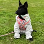 luna.shepherdess - @luna.shepherdess - Instagram