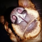 Luna Shields - @luna_shields - Instagram