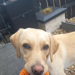 Luna Shields - Facebook
