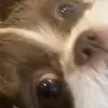 lunasims2 - @lunasims2 - TikTok