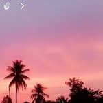 Luna - @lunasingh36 - Instagram
