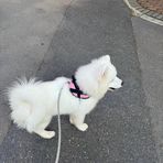 Luna Taylor - Facebook