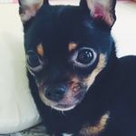 Luna Walker - @luna_moonshaker - Instagram