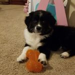 Luna Walker - @luna_walker310 - Instagram