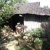 Luom Vo - Facebook