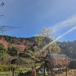Lương Kim Mạnh - @luongkimmanh - Instagram