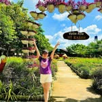 Lương Kim Viên - @luongkimvien - Instagram