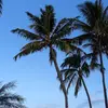 lupe alfaro - @lupe.alfaro31 - TikTok