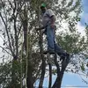 lupebalderas22 - @lupebalderas22 - TikTok