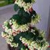 Lupe Ballesteros - Facebook