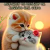 Lupe barrios - @lupebarrios46 - TikTok