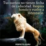 Maria Guadalupe Medina Caudillo - @lupemedinacaudillo - Instagram