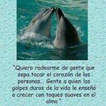 Lupe Cervantes - @lupe.cervantes.7777 - Instagram