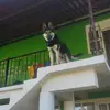 lupecervantes034 - @lupecervantes034 - TikTok