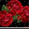Lupe Cerda Dueñas - @lupe.cerda.dueas - TikTok