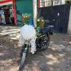 Lupe Falcon - @lupe.falcon8 - TikTok