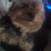 Lupe Hall - Facebook