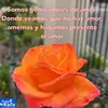 lupejacobo183 - @lupejacobo183 - TikTok