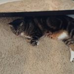 Keith Luper - @luperkeith - Instagram