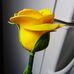 Lupe Landeros - Facebook