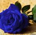 Lupe Loya - Facebook