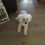 Lupe Luqueria - @lupe_luqueria - Instagram