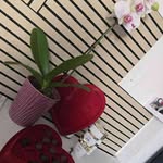 Lupe Mares - @maresgua9 - Instagram