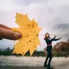 lu_vera - @lu_peolvera90612 - TikTok