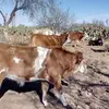 Lupe Pargas - @lupe.pargas - TikTok