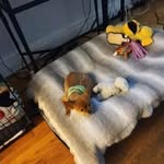 Lupe Pina - @lupepina79 - Instagram