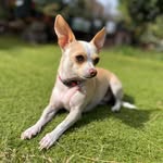 Lupe Pina - @lupepina516 - Instagram