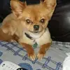 lupepina77 - @lupepina77 - TikTok