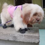 Randel Lape - Facebook