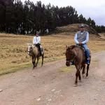 Lupe Romo Aldave - @lupealdave - Instagram